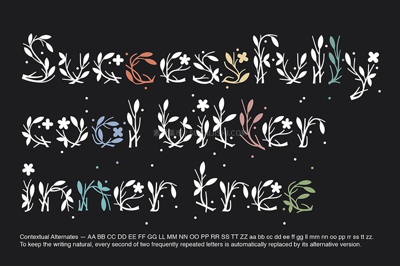 Fioritura花卉艺术装饰字体